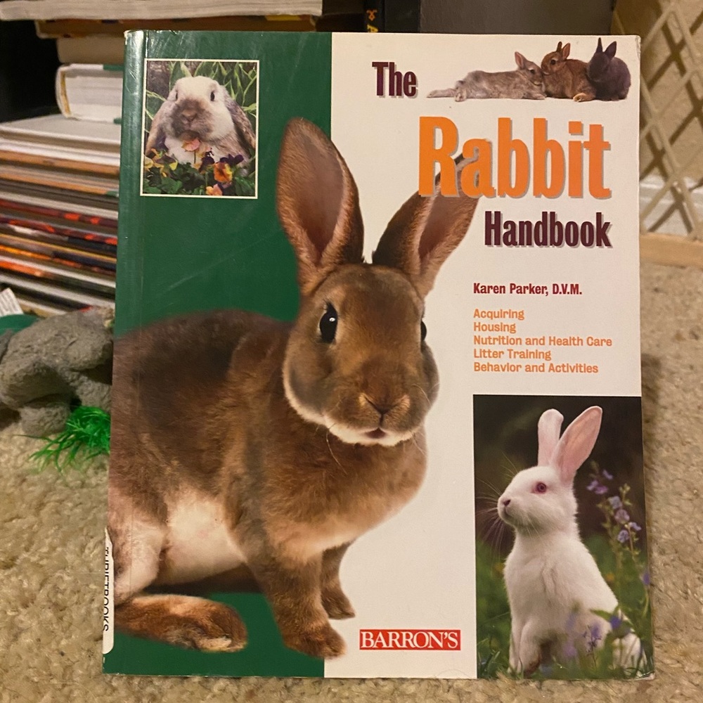 Bunny / rabbit book